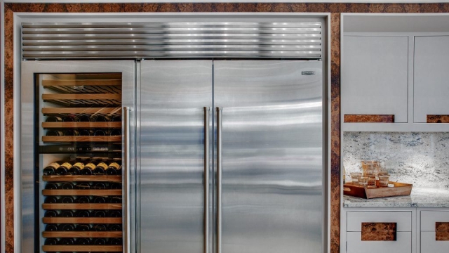 Chill Your Kitchen: The Ultimate Guide to Sub Zero Appliances and Freezers