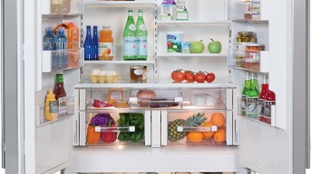 Cool Innovations: Unleashing the Power of Sub Zero Appliances and Freezers!