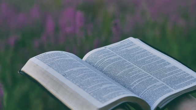 Divine Revelations:  Exploring the Depths of Bible Study