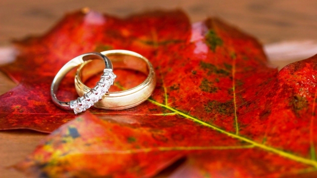 A Symphony of Love: Unveiling Mesmerizing Wedding Bands