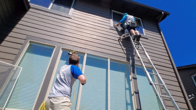 Crystal Clear: Mastering the Art of Window Cleaning