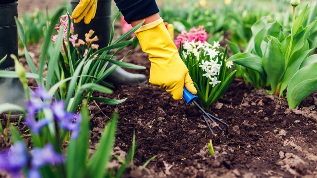 The Green Thumb’s Guide: Unlocking the Secrets of Organic Gardening